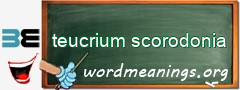 WordMeaning blackboard for teucrium scorodonia